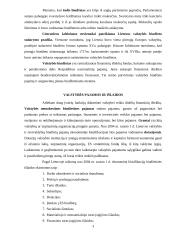 Lietuvos Respublikos valstybinis biudžetas 3 puslapis