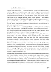 Lietuvos Respublikos (LR) valstybės biudžeto analizė (2007 -2010 metais) 15 puslapis