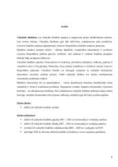 Lietuvos Respublikos (LR) valstybės biudžeto analizė (2007 -2010 metais) 3 puslapis