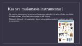 Mušamieji instrumentai (skaidrės) 2 puslapis