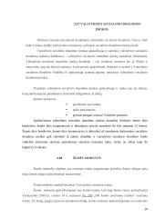 Lietuvos Respublikos mokesčiai valstybinių įmonių aspektu 20 puslapis