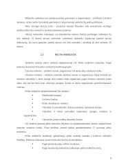 Lietuvos Respublikos mokesčiai valstybinių įmonių aspektu 9 puslapis