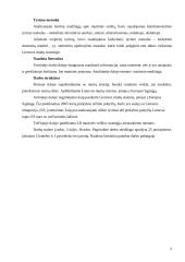 Lietuvos respublikos muitų sistema 2 puslapis