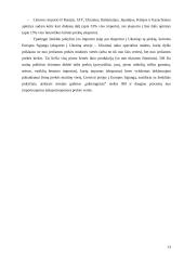 Lietuvos respublikos muitų sistema 13 puslapis