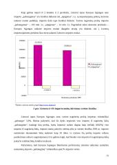 Lietuvos respublikos muitų sistema 15 puslapis