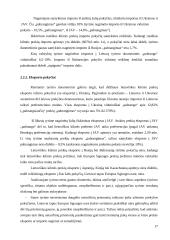 Lietuvos respublikos muitų sistema 17 puslapis