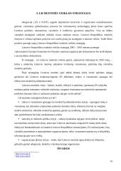 Lietuvos respublikos muitų sistema 19 puslapis