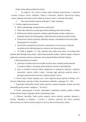 Lietuvos respublikos muitų sistema 20 puslapis