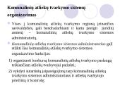 Bendrieji atliekų tvarkymo principai 10 puslapis