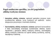 Bendrieji atliekų tvarkymo principai 17 puslapis