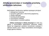 Bendrieji atliekų tvarkymo principai 4 puslapis