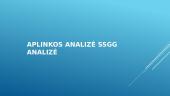 Skaitmeninio marketingo plano sudarymas ,,Burga“ prekės ženklui 11 puslapis