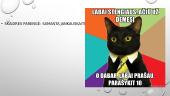Organizmų prisitaikymas vykdyti dujų apykaitą. Skaidrės 12 puslapis