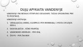 Organizmų prisitaikymas vykdyti dujų apykaitą. Skaidrės 7 puslapis