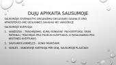 Organizmų prisitaikymas vykdyti dujų apykaitą. Skaidrės 9 puslapis