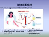 Hemodializės procedūra 6 puslapis