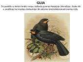 Išnykę gyvūnai 3 puslapis