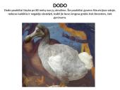 Išnykę gyvūnai 5 puslapis