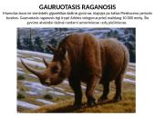 Išnykę gyvūnai 6 puslapis