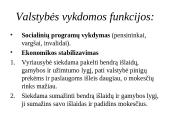 Valstybės vaidmuo rinkos ekonomikoje (skaidrės) 5 puslapis