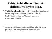 Valstybės vaidmuo rinkos ekonomikoje (skaidrės) 6 puslapis