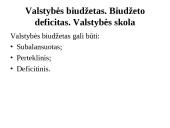 Valstybės vaidmuo rinkos ekonomikoje (skaidrės) 7 puslapis