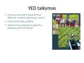 Paklausos elastingumas kainai (PED) 19 puslapis