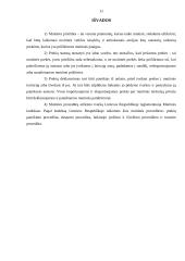 Muitinės veikla ir kontrolė 10 puslapis