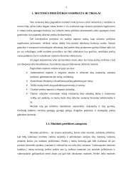 Muitinės veikla ir kontrolė 3 puslapis