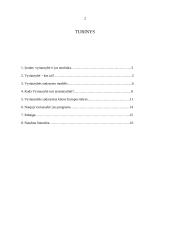 Vyriausybė ir jos struktūra 2 puslapis