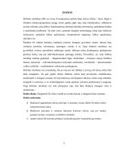 DI ir profesinė etika 2 puslapis