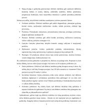 DI ir profesinė etika 4 puslapis