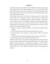 DI ir profesinė etika 7 puslapis