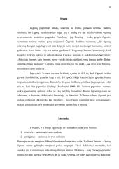 Lietuvos romų etnografiniai bruožai 7 puslapis