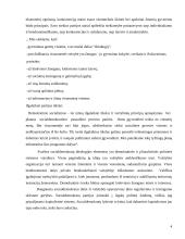 Lietuvos socialdemokratija šiandien 4 puslapis