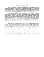 Ką žmogus gali padaryti dėl meilės? Rašinys