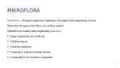 Žmogaus kūno mikroflora 3 puslapis