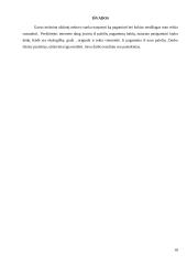 Lauko baldai iš palečių - lauko kėdė: technologijų mokyklinio brandos egzamino baigiamojo darbo aprašas 17 puslapis