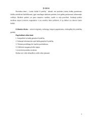 Lauko baldai iš palečių - lauko kėdė: technologijų mokyklinio brandos egzamino baigiamojo darbo aprašas 4 puslapis