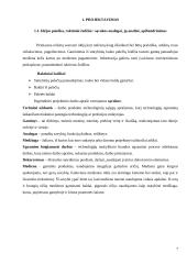 Lauko baldai iš palečių - lauko kėdė: technologijų mokyklinio brandos egzamino baigiamojo darbo aprašas 6 puslapis