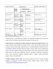 Lietuvos socialinės politikos sistema 11 puslapis