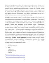 Lietuvos socialinės politikos sistema 12 puslapis