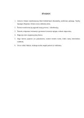 Lietuvos šeimos transformacijos atgavus nepriklausomybę 12 puslapis