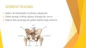 Trauminiai sužalojimai. Kaulų lūžiai 19 puslapis