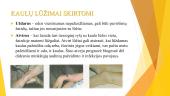 Trauminiai sužalojimai. Kaulų lūžiai 4 puslapis