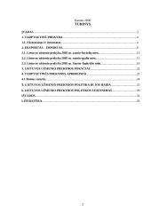 Lietuvos tarptautinė prekyba 2 puslapis