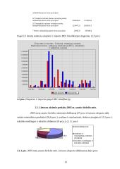 Lietuvos tarptautinė prekyba 13 puslapis