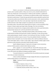 Lietuvos tarptautinė prekyba 3 puslapis