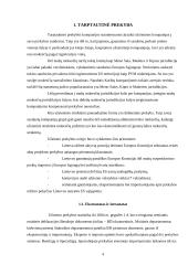 Lietuvos tarptautinė prekyba 4 puslapis