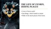 Fenrir appearance 4 puslapis